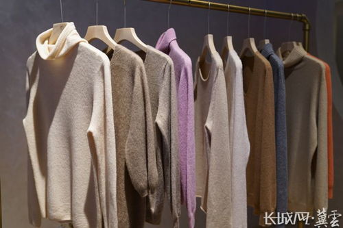 河北清河 織 上加 智 助推羊絨產(chǎn)業(yè)做大做強(qiáng)鳳凰網(wǎng)河北 鳳凰網(wǎng)